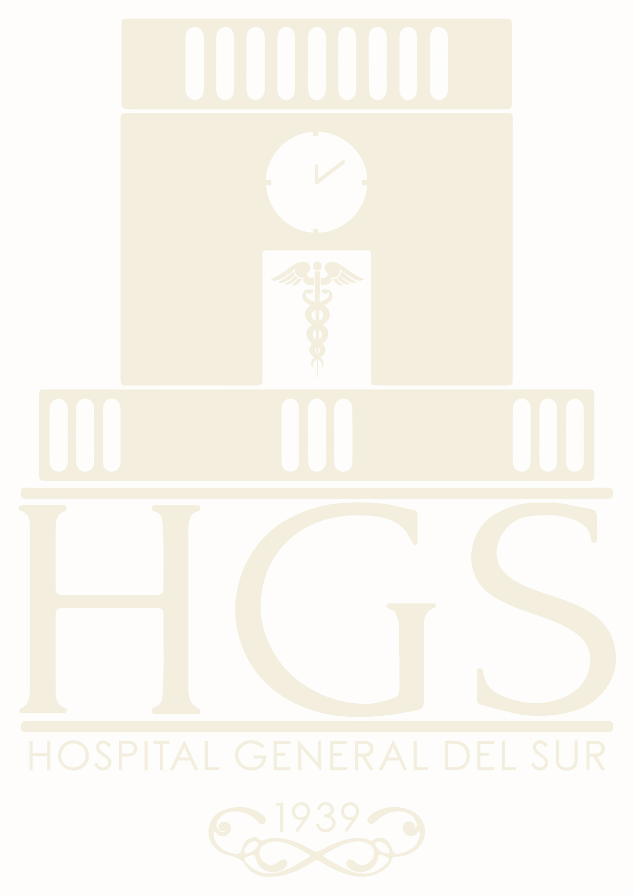 Logo Hospital General del Sur